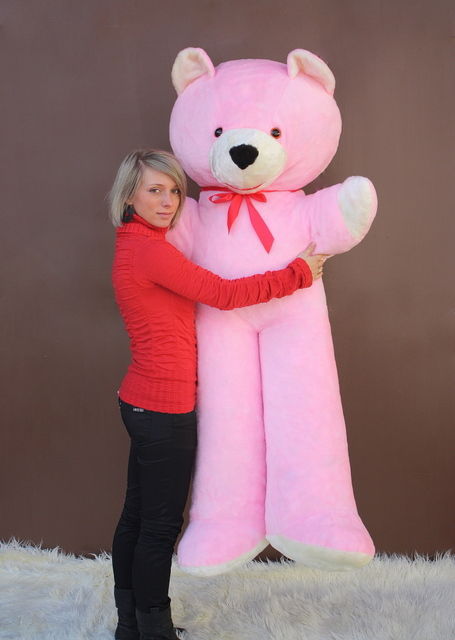 oso peluche rosa