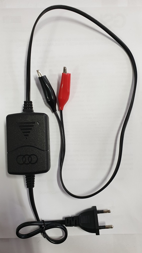 Cargador externo para baterias 12V INDALPZ00151, Coches eléctricos