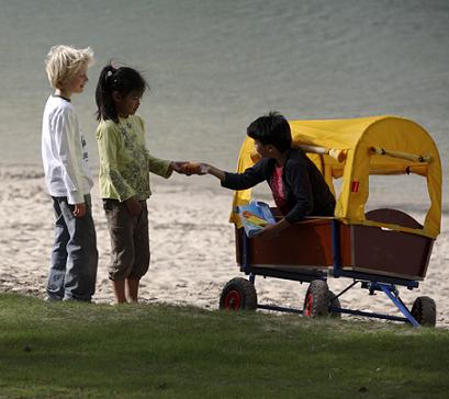 VENTA DE VAGON COMPLETO CON LA CAPOTA O TECHO; Western Cover Beach Wagon, ENVIO GRATIS