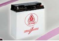 Bateria recargable especial coches INJUSA Bateria recargable especial coches INJUSA