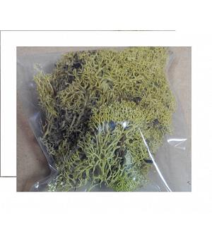Bolsa de musgo y ramaje para decoración maquetas. CUIT 3943. Bolsa 12 gramos