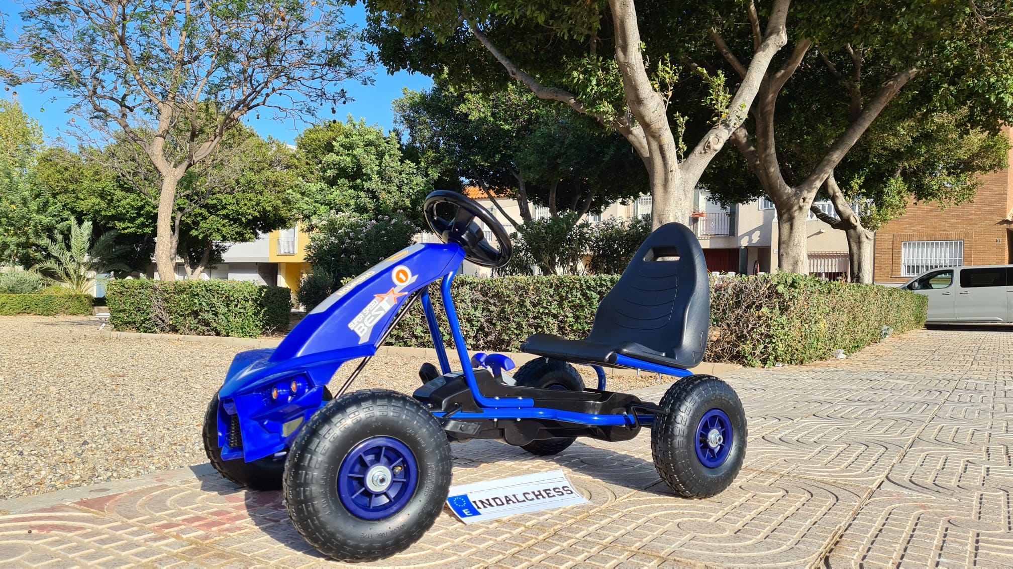 GO KART DE PEDALES PARA NIÑOS DE 3 A 8 AÑOS, azul, A-18 LE5344, Coches ...