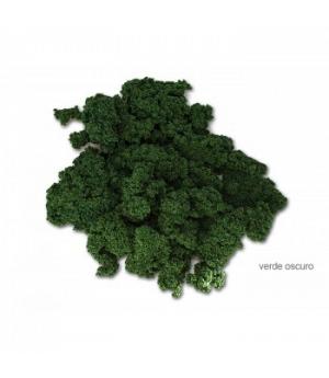 Keranova 601025 - Musgo Verde 25 Gr