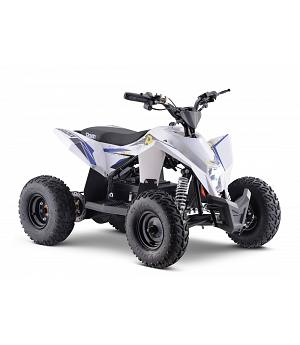 Miniquad electrico 1000W de 36V, con ruedas 6 pulgadas, ROANPOLORADIX-2130__AZU