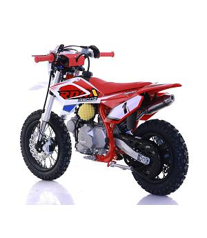 Pit bike ROAN Thunder 90cc 12/10" automático, ROJA - INDA1094-RO-3083