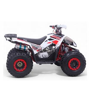 Quad 125CC Roan-Coyote Automático R8-D-N-R, ROJO -  INDA1158-RO-2890__RO