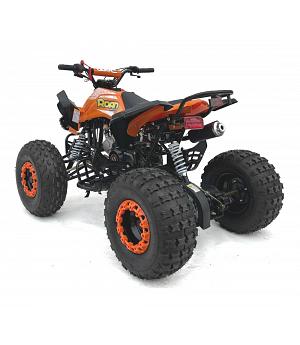 Quad 110cc Automático R8 con marcha atrás y luces de led, PoloRoanPantera-r8-204__NA