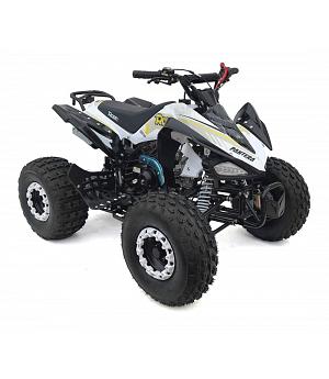 Quad 110cc Automático R8 con marcha atrás y luces de led, PoloRoanPanteraR8204__B1